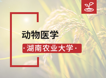 湖南农业大学专升本动物医学,湖南成人高考