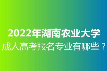 成人高考报名