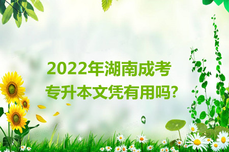 2022年湖南成考专升本