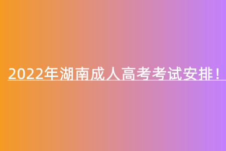 2022年湖南成人高考