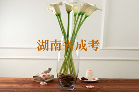 湖南省成考