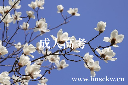 湖南省成人高考
