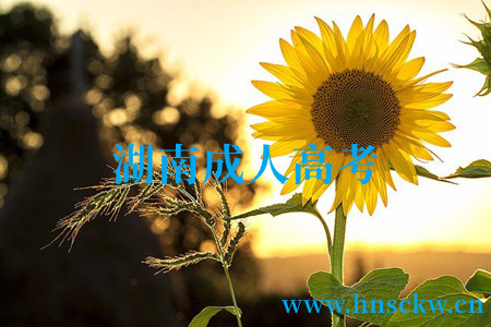 湖南成人高考