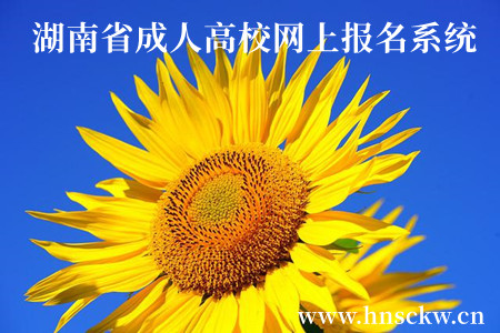 湖南省成人高校网上报名系统