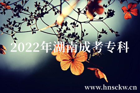 2022年湖南成考专科