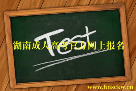 湖南成人高考官方网上报名
