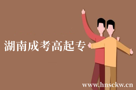湖南成考高起专