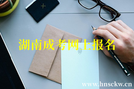 湖南成考网上报名