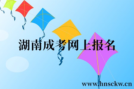 湖南成考网上报名