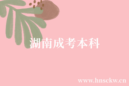 湖南成考本科