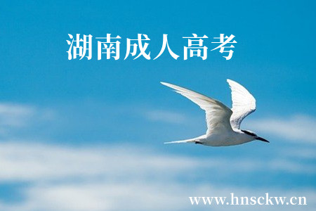 湖南成人高考