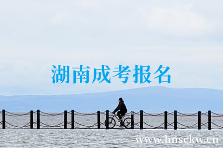 湖南成考报名