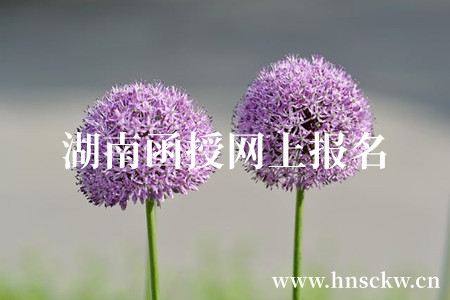 湖南函授网上报名