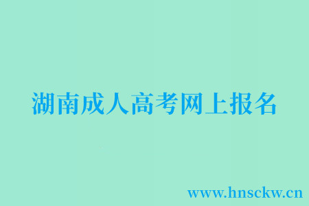 湖南成人高考网上报名