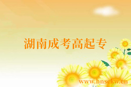 湖南成考高起专