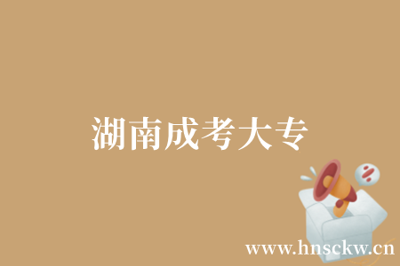 湖南成考大专