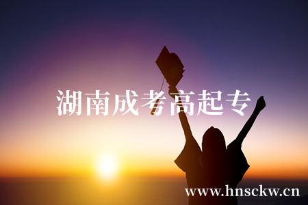 湖南成考高起专
