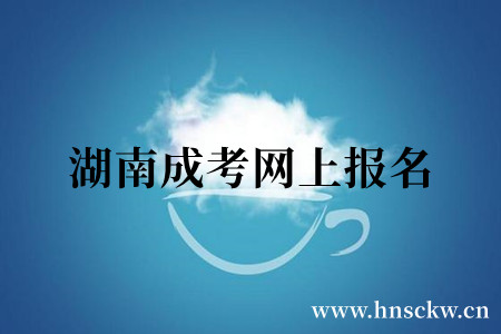 湖南成考网上报名