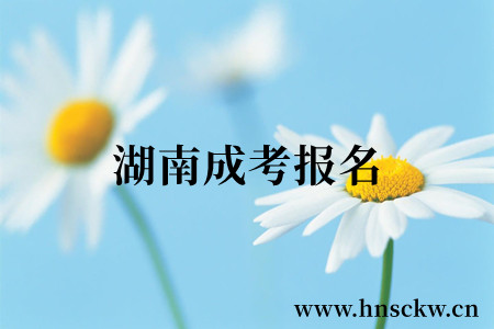 湖南成考报名