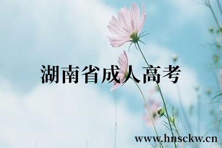 湖南省成人高考