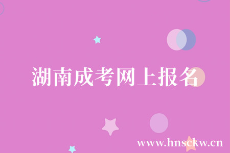 湖南成考网上报名
