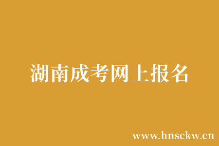 湖南成考网上报名