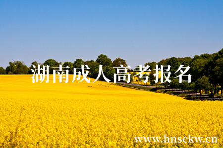 湖南成人高考报名