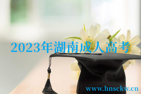 2023年湖南成人高考