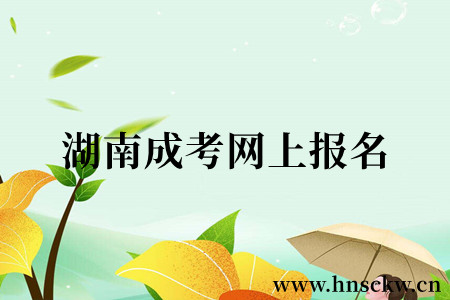 湖南成考网上报名