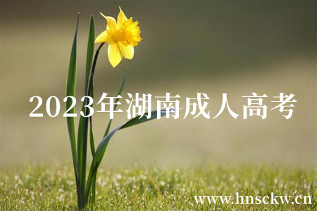 2023年湖南成人高考