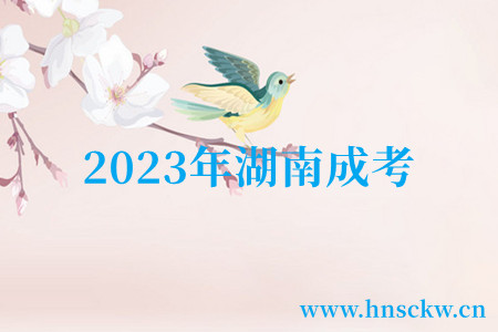2023年湖南成考