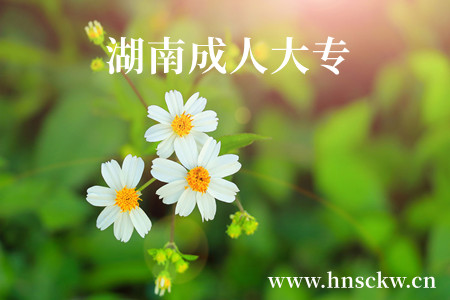 湖南成人大专