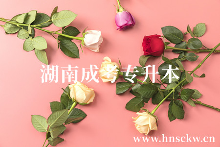 湖南成考专升本