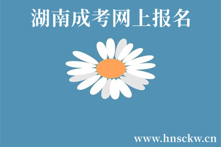 湖南成考网上报名
