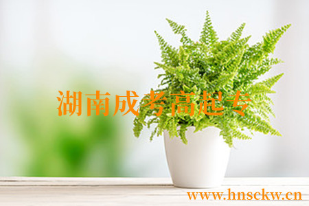 湖南成考高起专