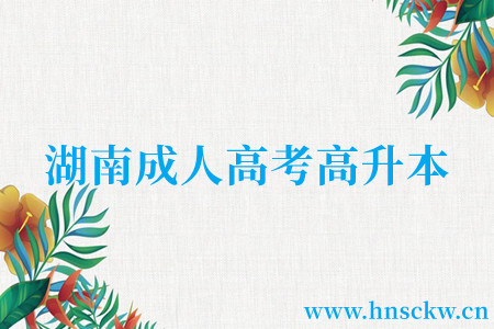 湖南成人高考高升本