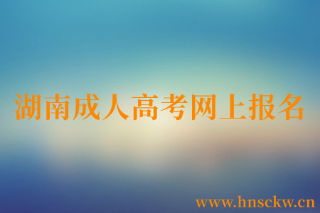 湖南成人高考网上报名