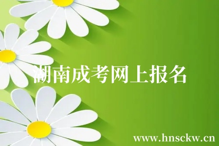 湖南成考网上报名