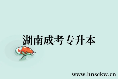 湖南成考专升本