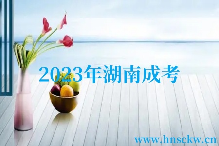 2023年湖南成考