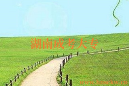 湖南成考大专