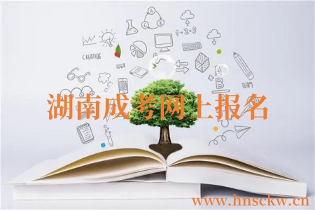 湖南成考网上报名