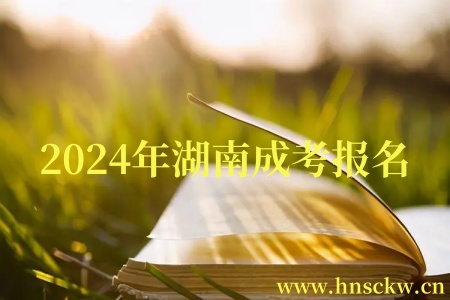 2024年湖南成考报名