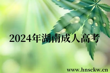2024年湖南成人高考