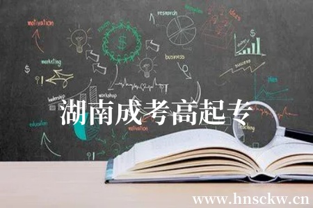 湖南成考高起专