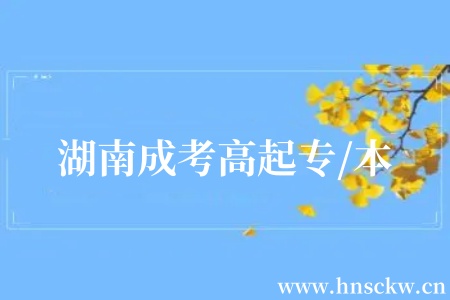 湖南成考高起专/本