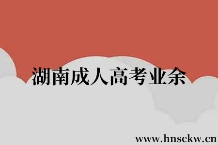 湖南成人高考业余