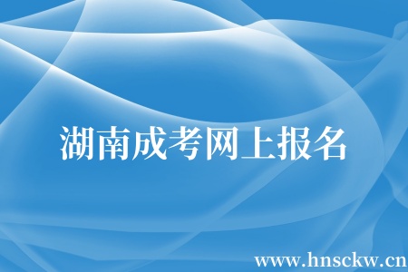 湖南成考网上报名