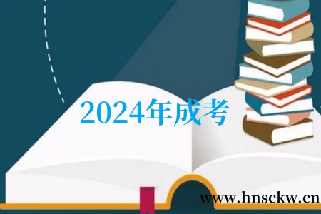 2024年成考
