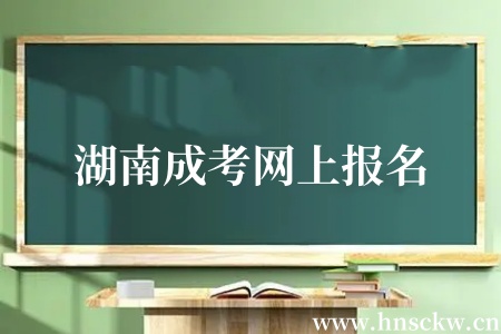 湖南成考网上报名